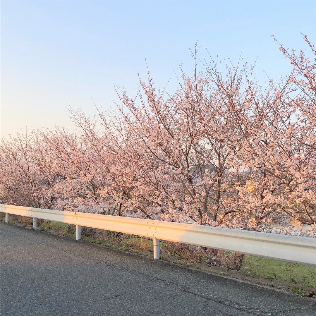 【イオンモール姫路大津】お花見のお供に