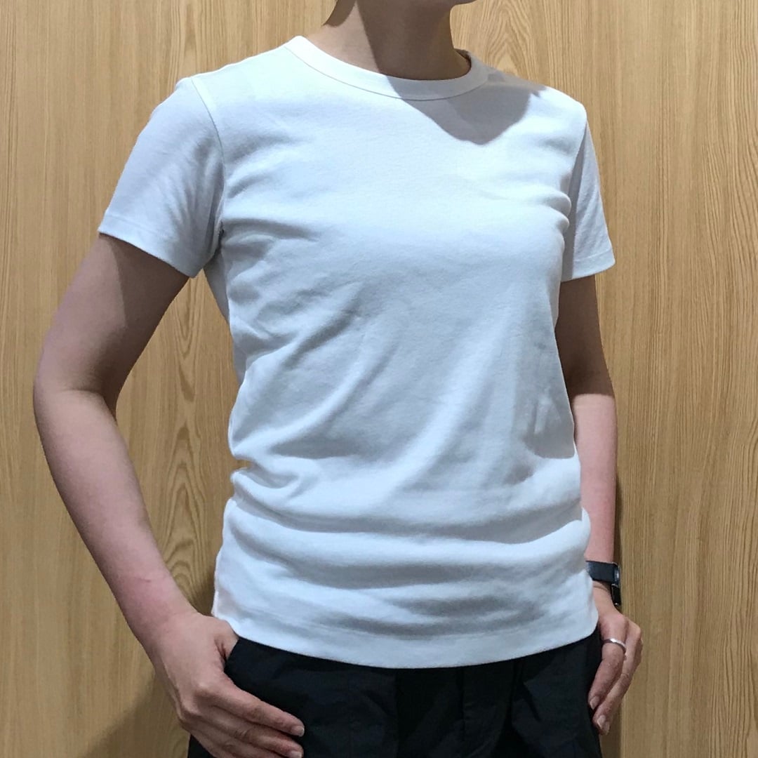 キービジュアル画像：白Tシャツを比べてみました|スタッフのおすすめ