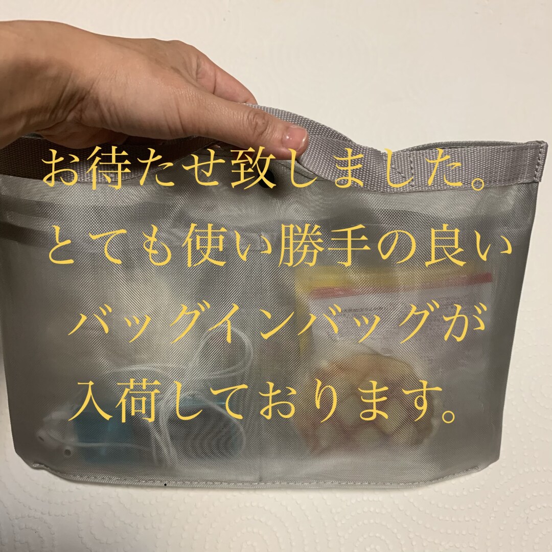 キービジュアル画像：バッグインバッグで整理整頓美人に♪