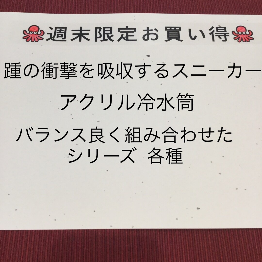 キービジュアル画像：本日からのお買い得商品です！