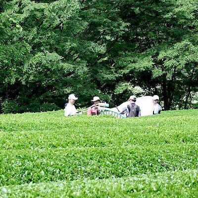 【無印良品500 シァル鶴見】神奈川県限定商品のご紹介
