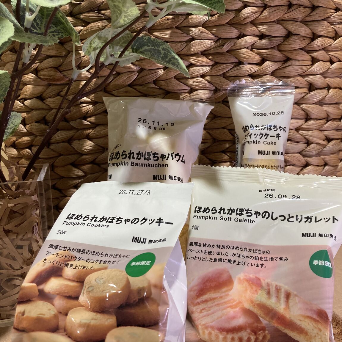 ほめられかぼちゃシリーズの写真