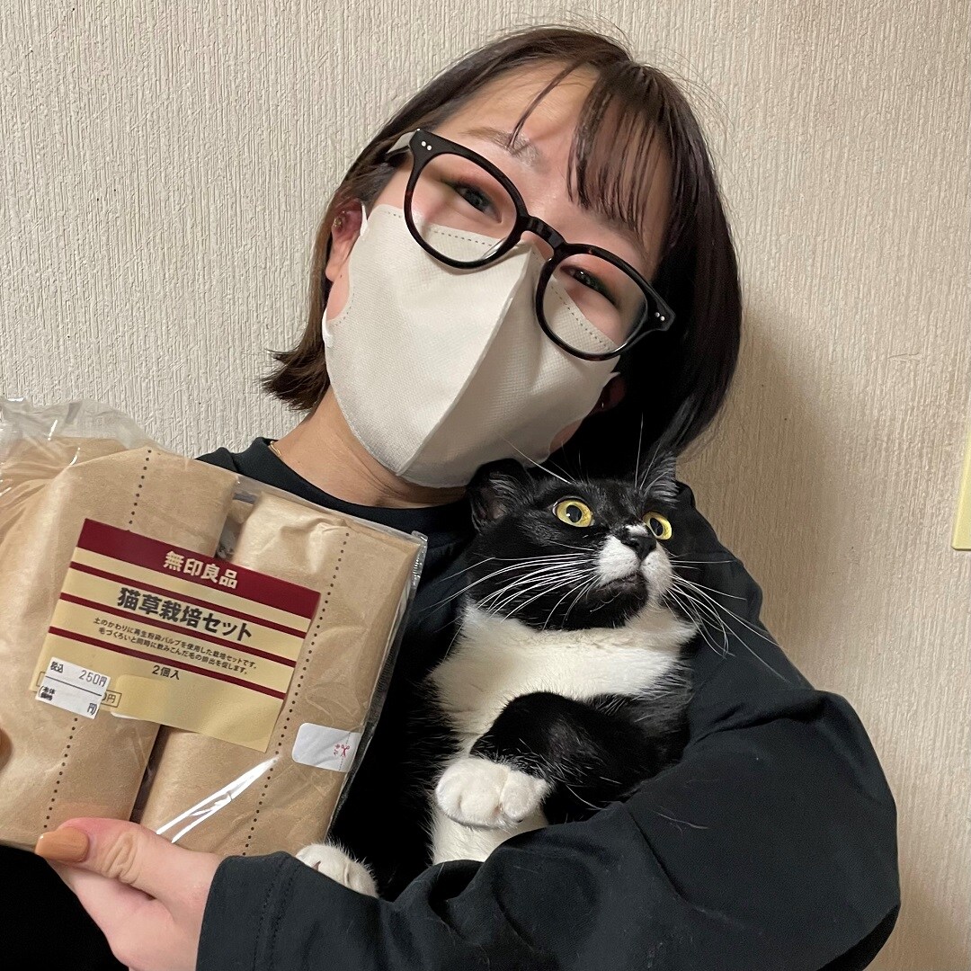 猫と猫草