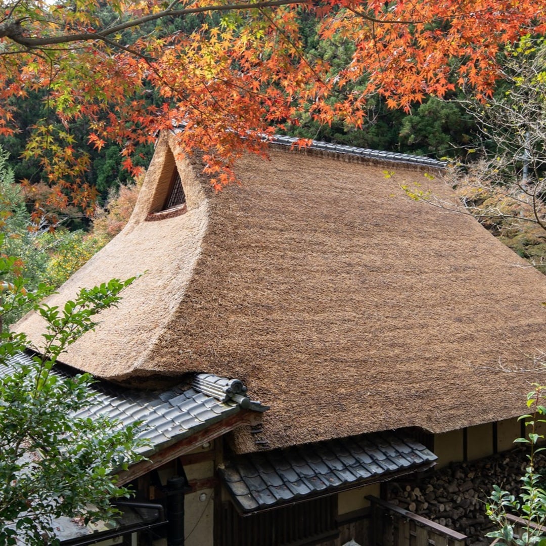 【京都山科】春秋山荘への行き方｜舘野鴻さん×山下澄人さんトークライブ