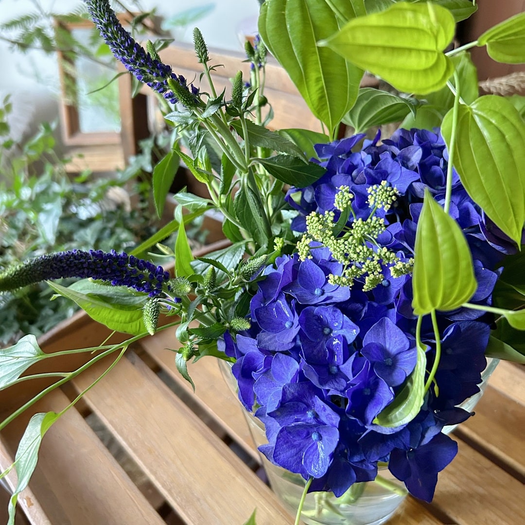 【京都山科】紫陽花のブーケ｜イベントのお知らせ