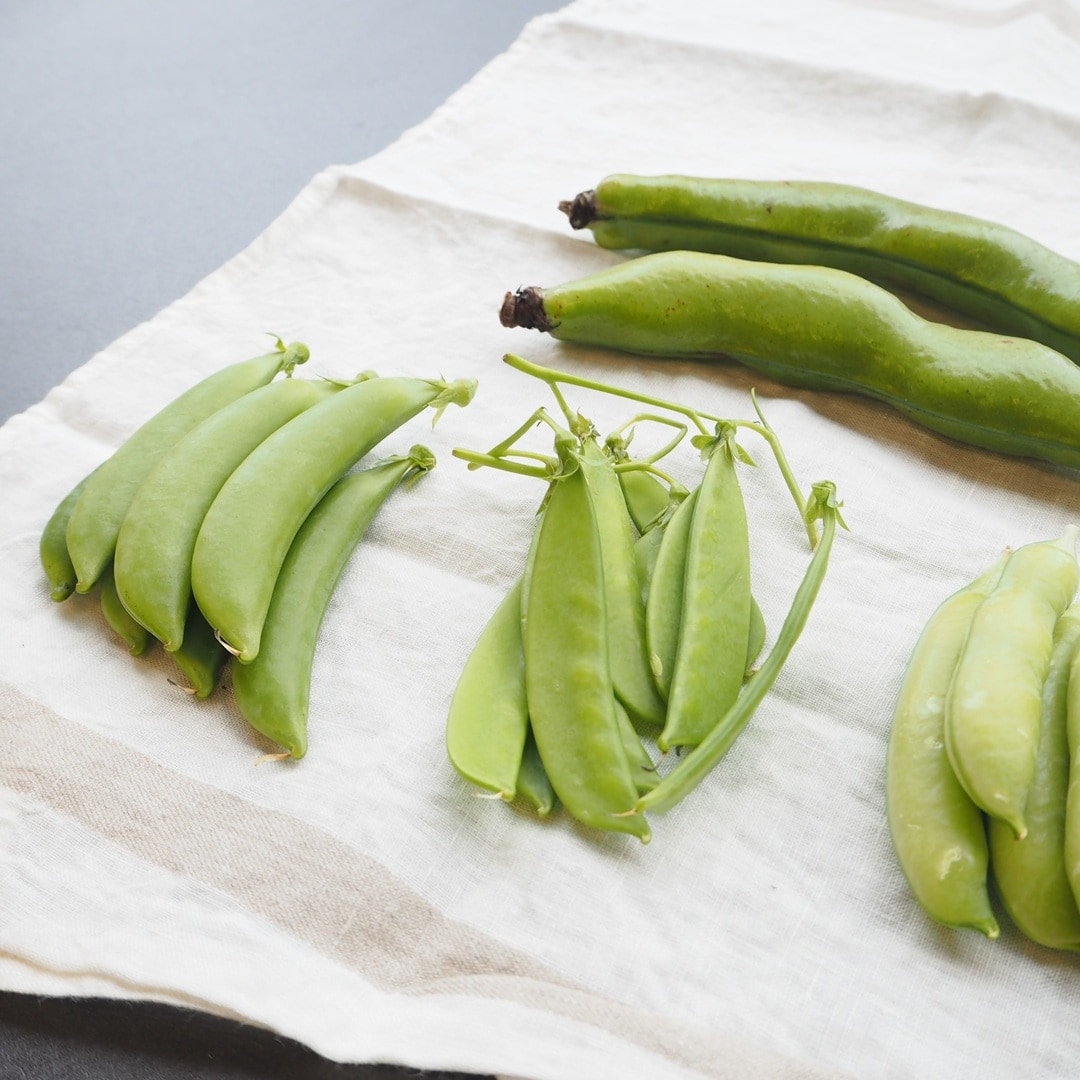 【京都山科】春の豆をいただくレシピ5選｜キッチンカウンター