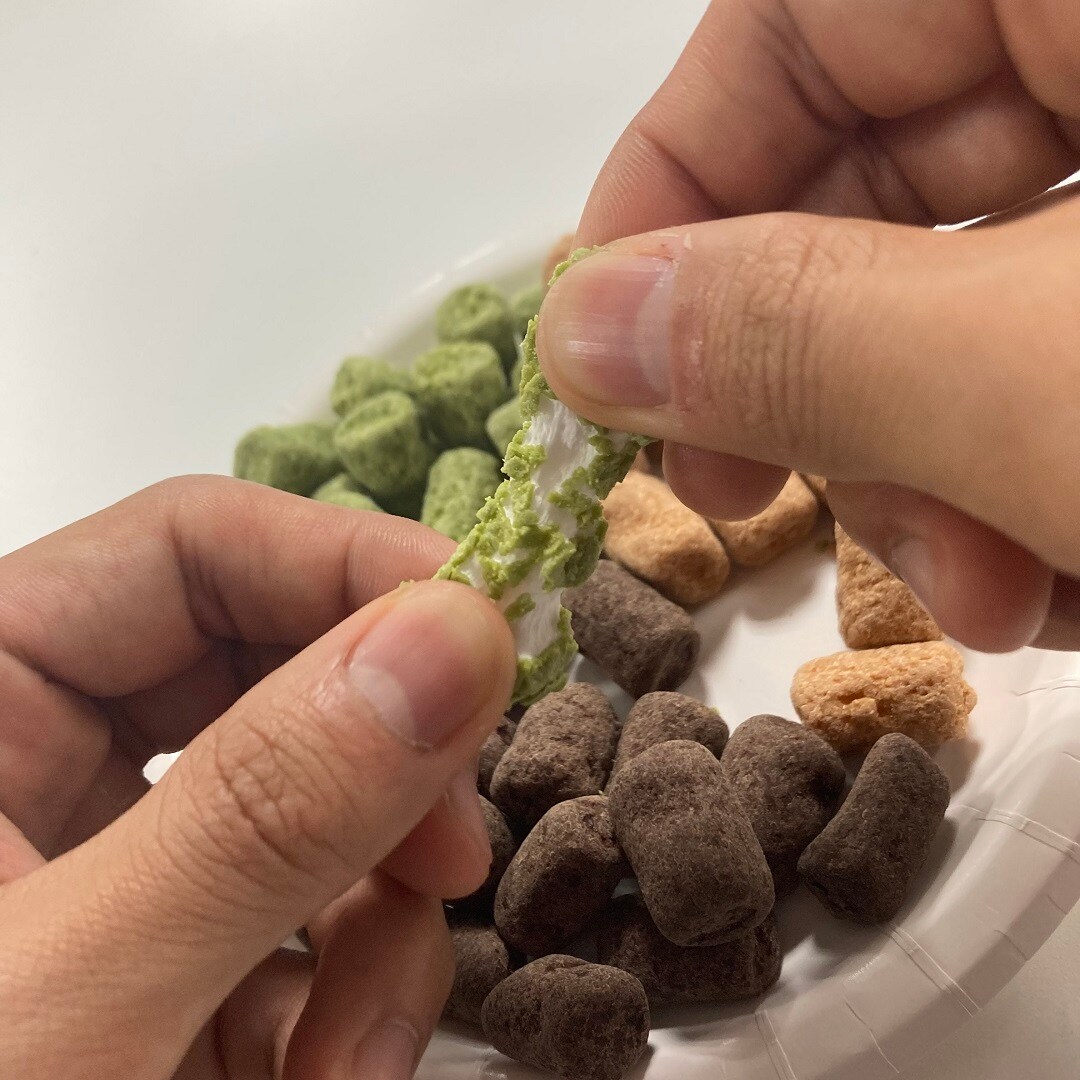 チョコ掛けマシュマロ