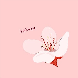 【させぼ五番街】季節限定｜桜咲く春を感じるお菓子たち