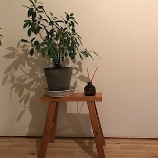 【自由が丘】気持ちやわらぐ、無印良品の香りいろいろ