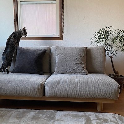 【おやまゆうえんハーヴェストウォーク】ゆったり座れるアームレスソファ　