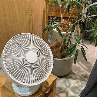 【おやまゆうえんハーヴェストウォーク】３６０度首振り機能付きサーキュレーター