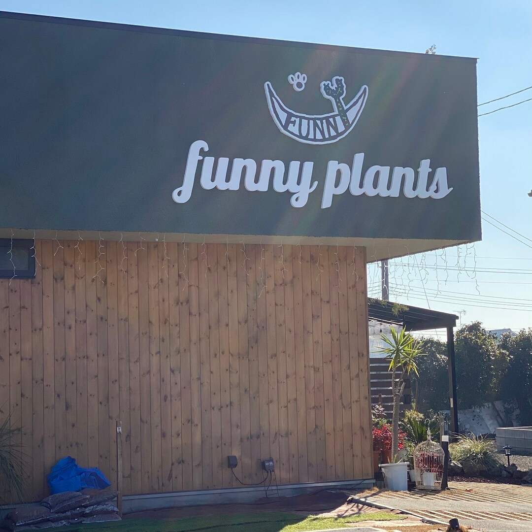 45355-1221-funnyplants-外観
