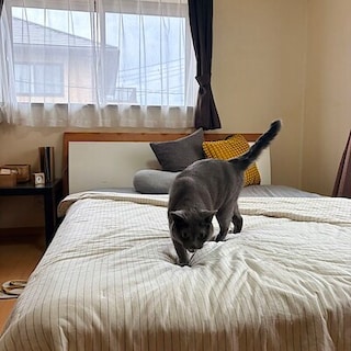 【イオンモール富士宮】夏の夜を快適に。ひんやり綿薄掛ふとん