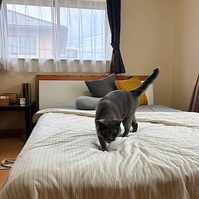 【イオンモール富士宮】夏の夜を快適に。ひんやり綿薄掛ふとん