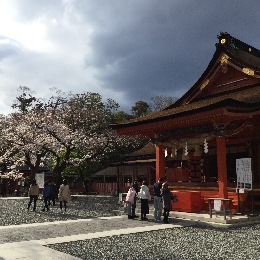 キービジュアル画像：富士山本宮浅間大社へ行ってきました｜富士宮だよりvol.1