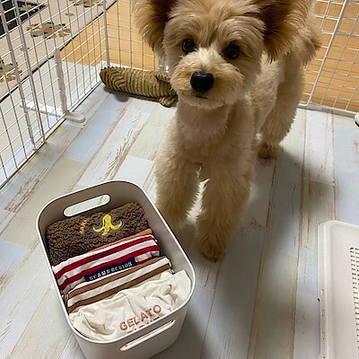 【イオンモール富士宮】どんなお部屋にもぴったり、やわらかポリエチレンケース