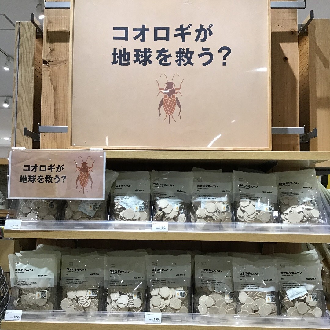 コオロギせんべい売場