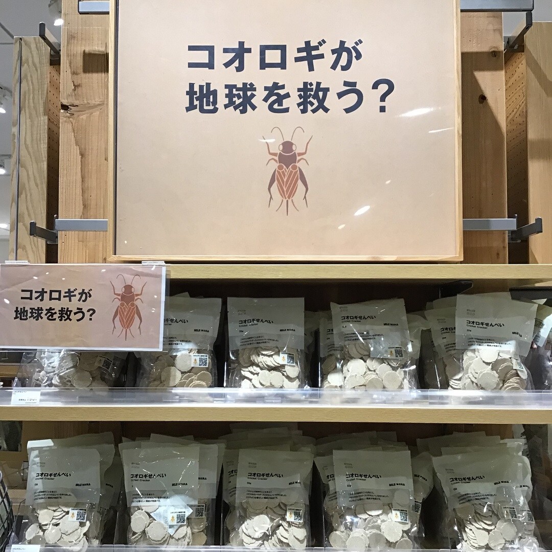 コオロギせんべい　トップ画像