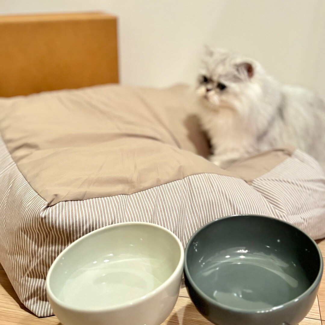 【ザ・モール仙台長町】猫用品ご紹介おたよりタイトル写真
