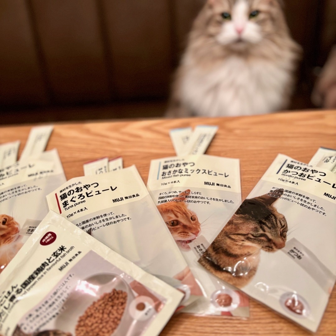【ザ・モール仙台長町】猫用品のご紹介おたよりタイトル写真