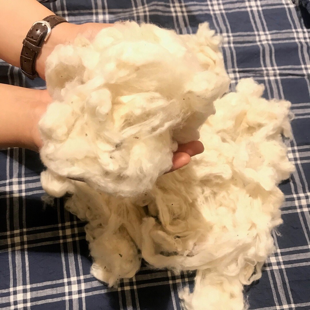 【ザ・モール仙台長町】オーガニックコットンの写真