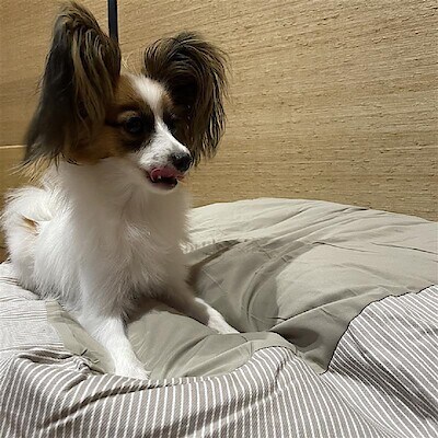 【アピタ島田】ちいさな家族にもお気に入りの定位置を。