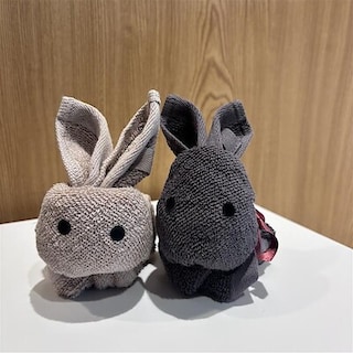 【アピタ島田】イベント開催のお知らせ　ハンドタオルでウサギのぬいぐるみを作ろう