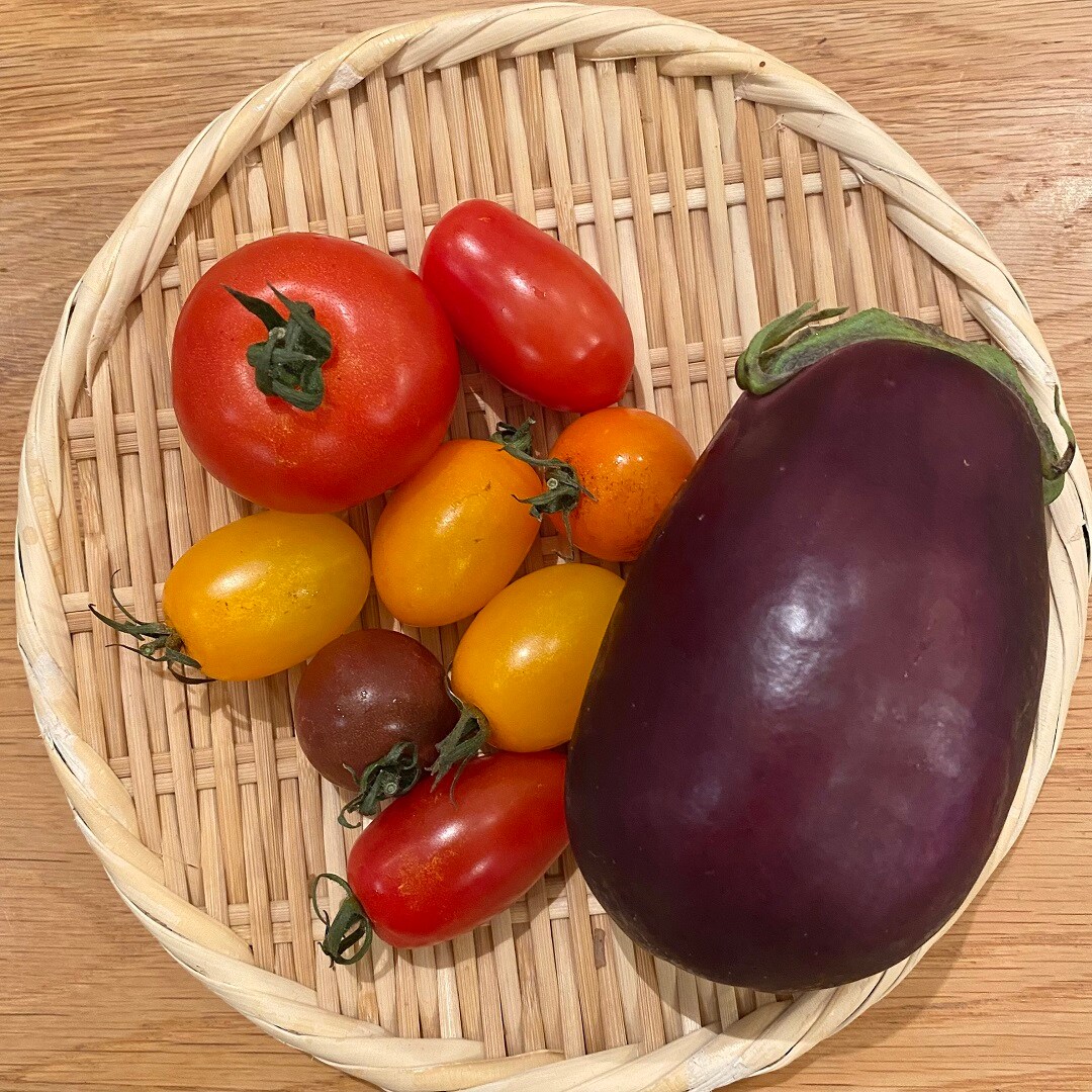 【丸井吉祥寺店】週末マルシェ 旬の野菜入荷情報