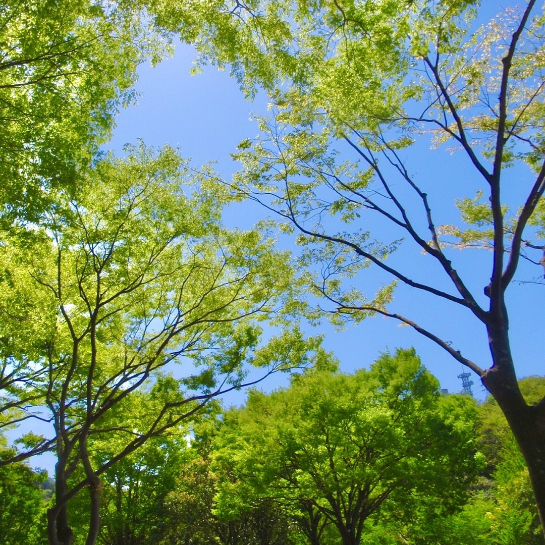 【湘南藤沢オーパ】生理の悩み。いろいろ
