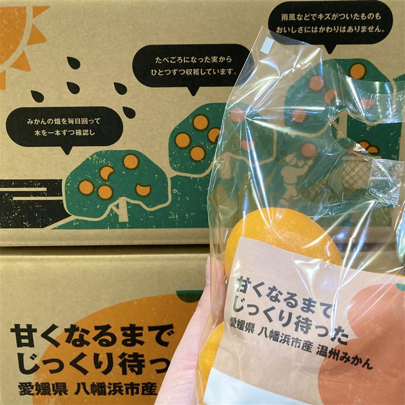 愛媛県　八幡浜市産　温州みかん