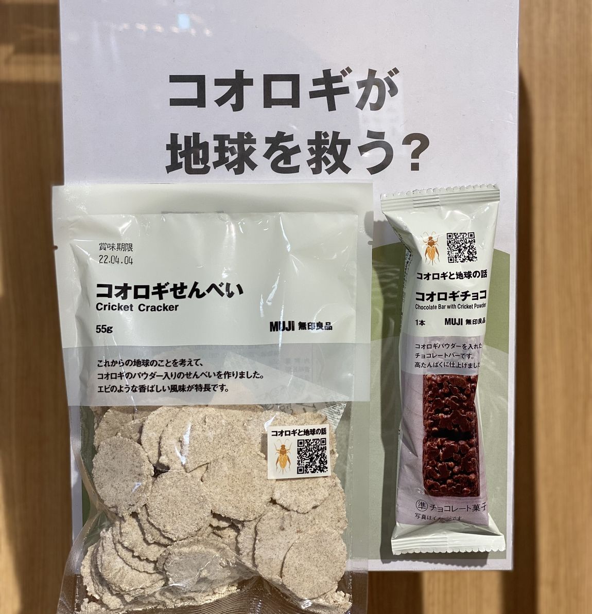 コオロギチョコ