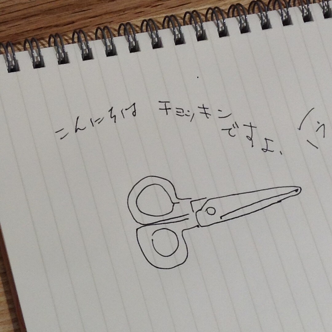 キービジュアル画像：今日のためし書き｜5月19日（日）