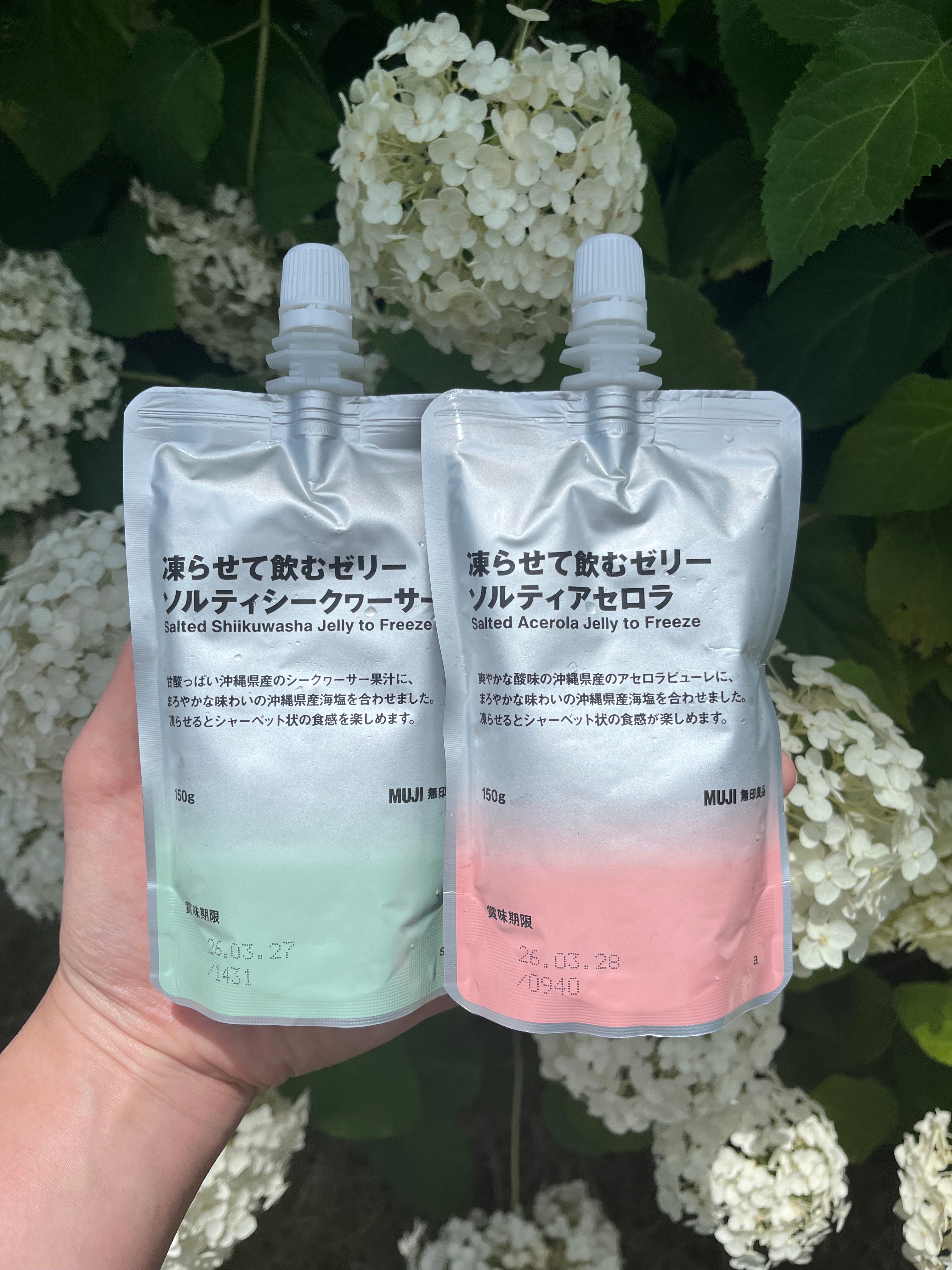 【宇都宮インターパークビレッジ】