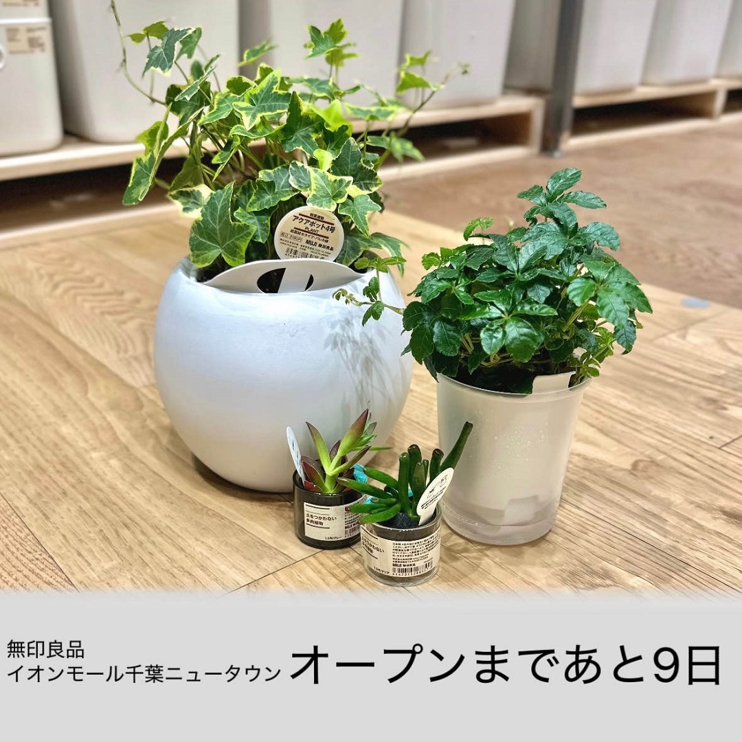 サムネ