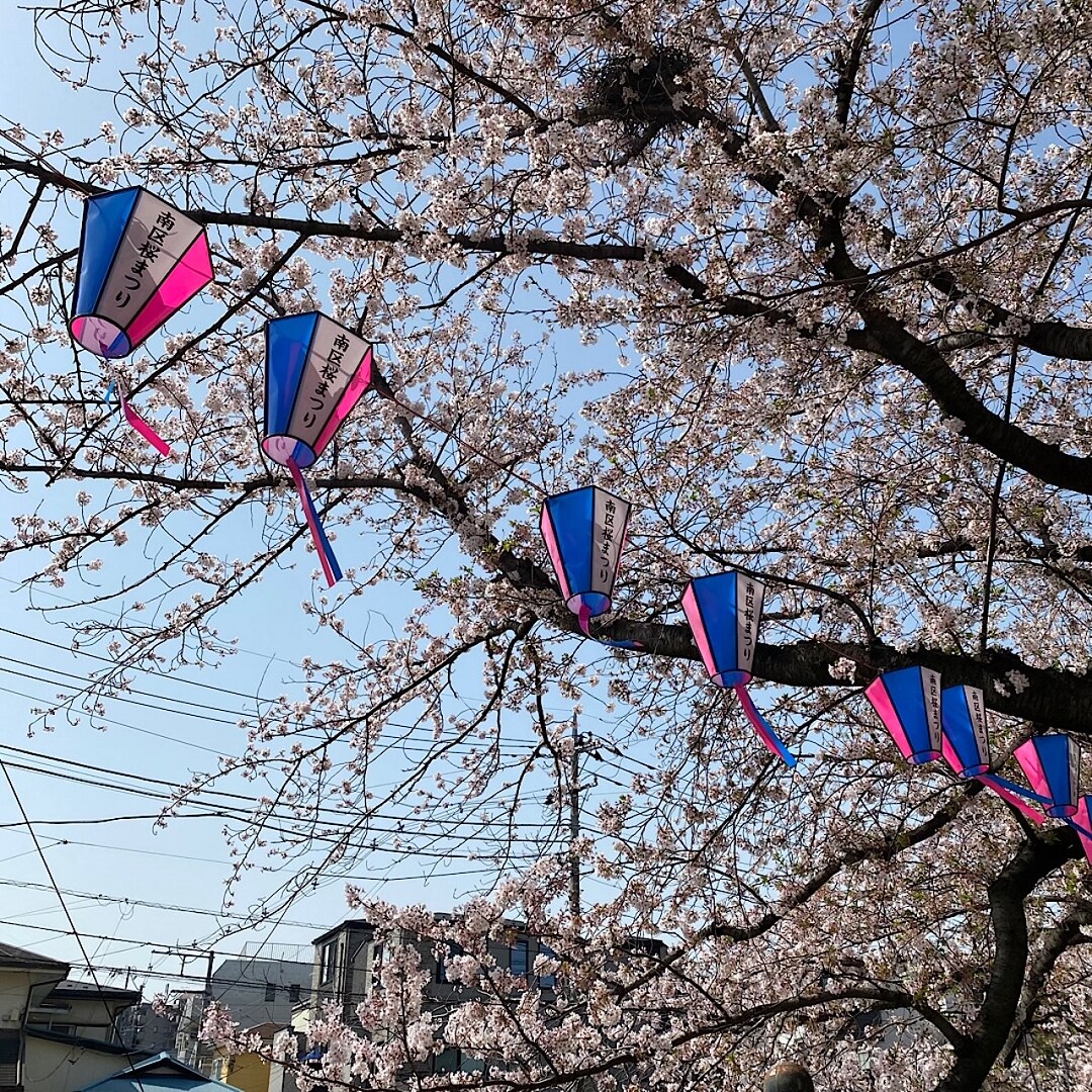 南区桜まつり