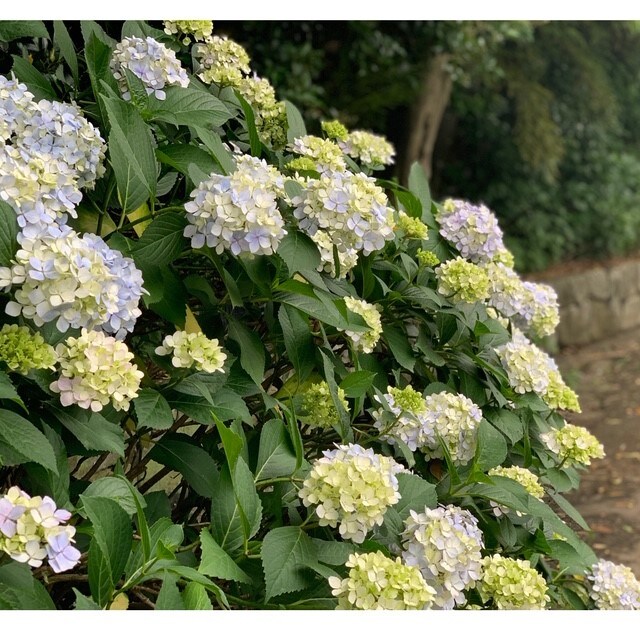 紙箱