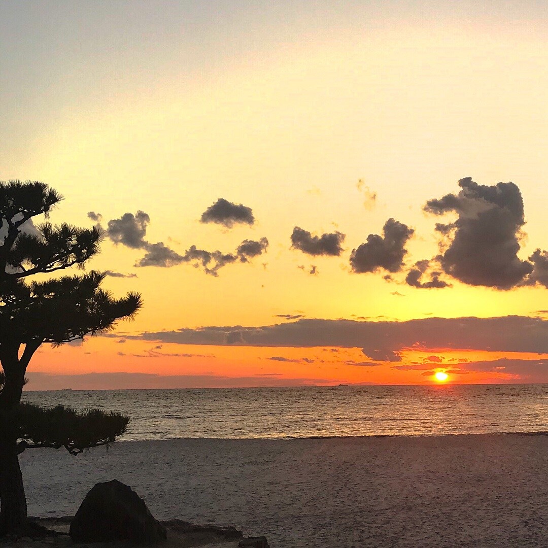 キービジュアル画像：白良浜へ行ってきました｜まち便り
