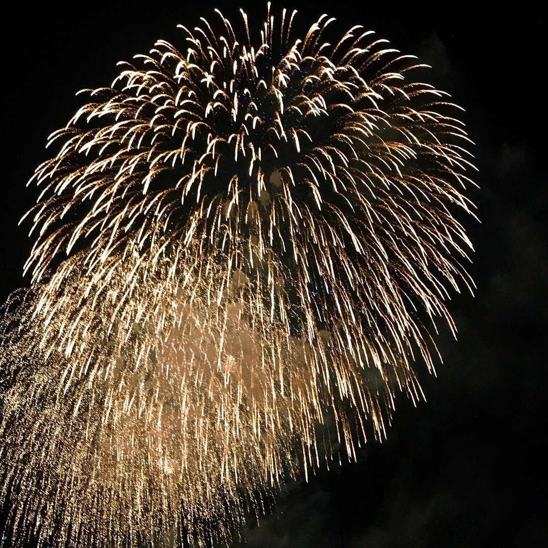 キービジュアル画像：夏の花火大会はこれから｜まち便り
