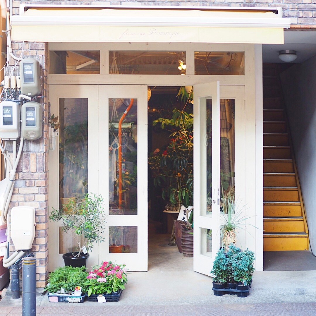 キービジュアル画像：フラワーショップ「Dominique」｜岐阜・柳ヶ瀬 商店