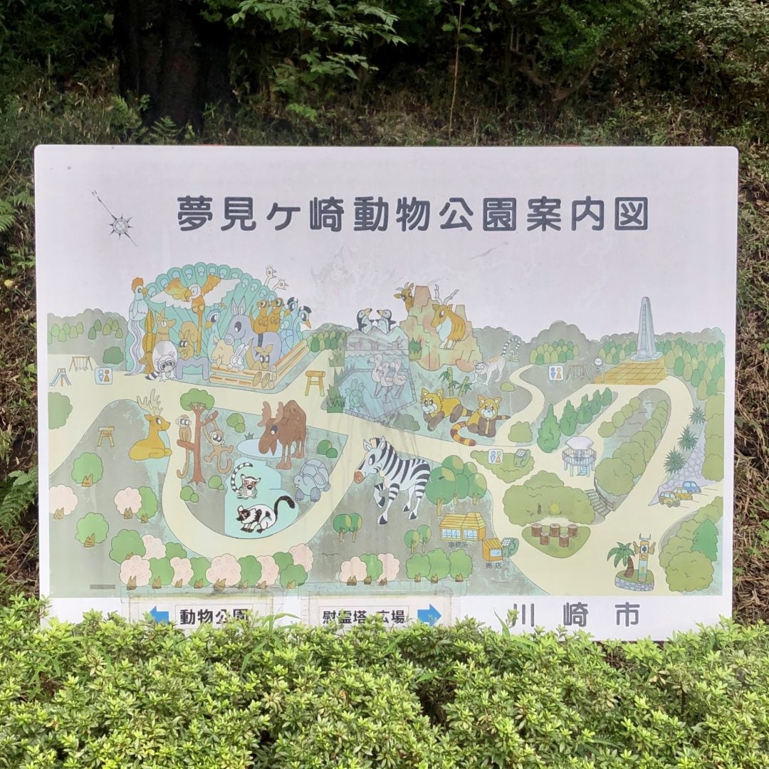 キービジュアル画像：夢見ヶ崎動物公園｜川崎のこと。Ｖｏｌ．８