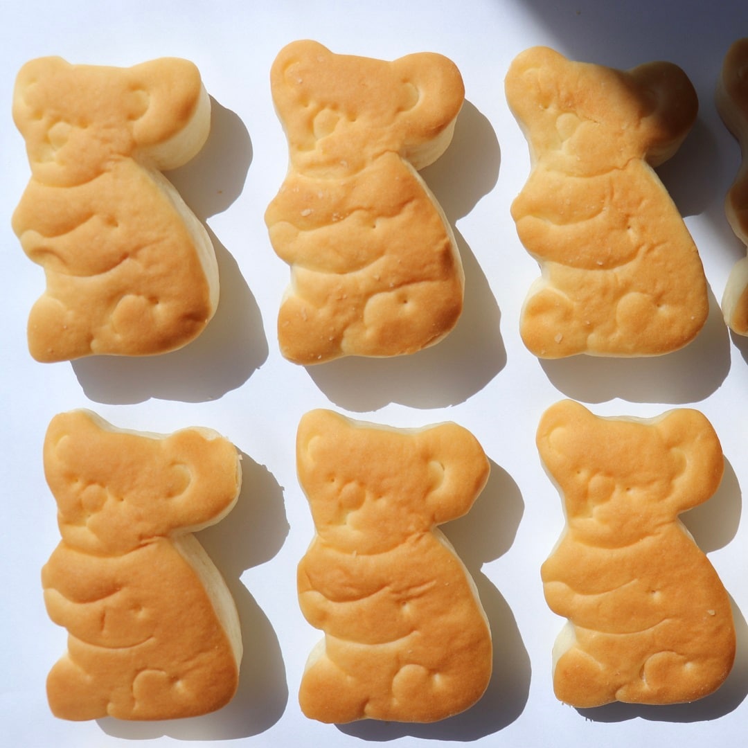 コアラパンの写真