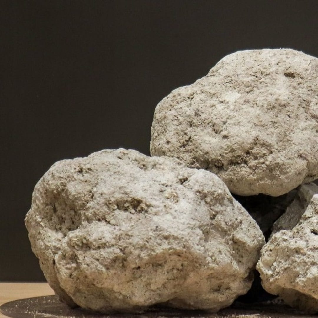 EXHIBITION『土の声を聴くfrom瀬戸』