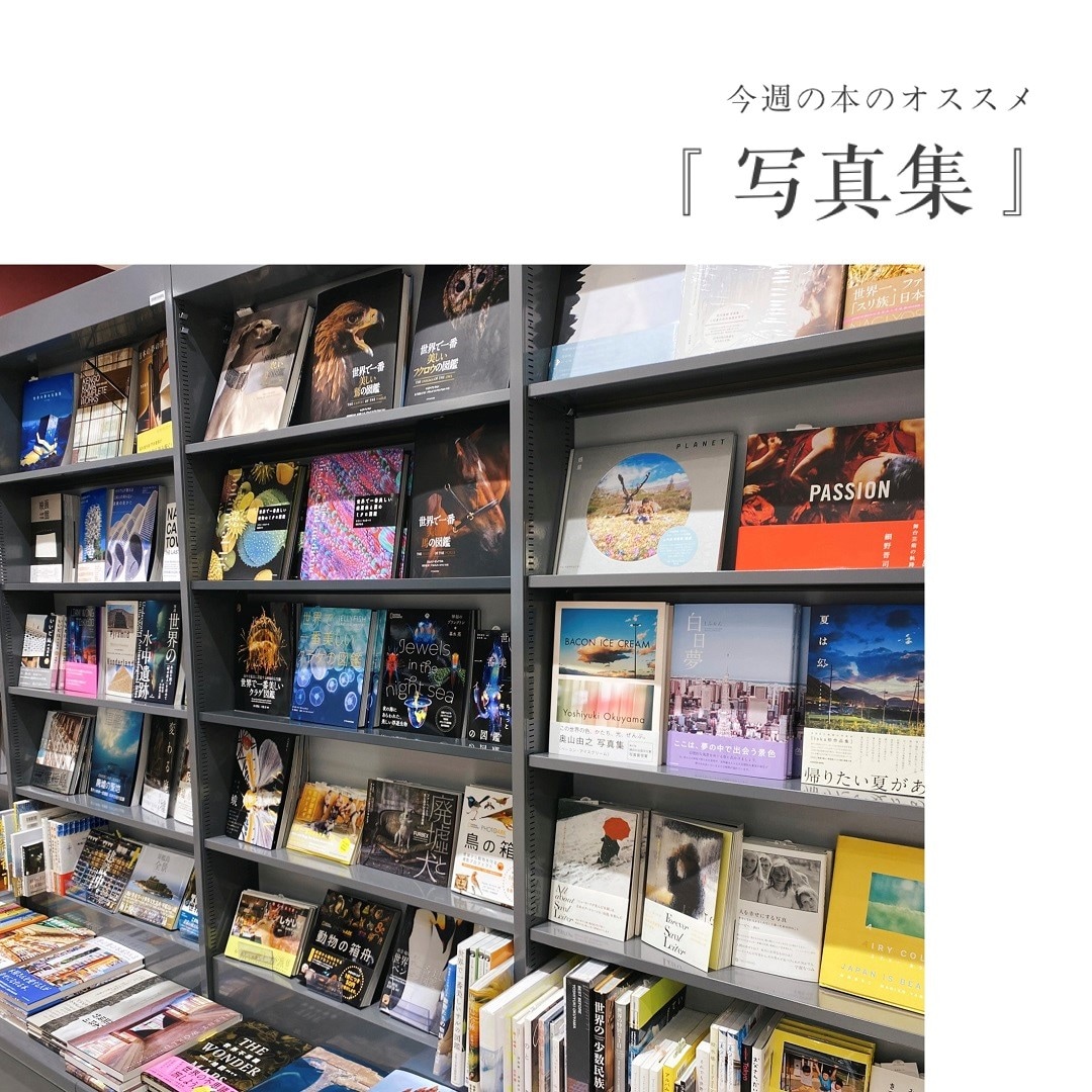 写真集