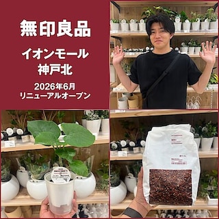 【イオンモール神戸北】リニューアルオープンまであと4日！