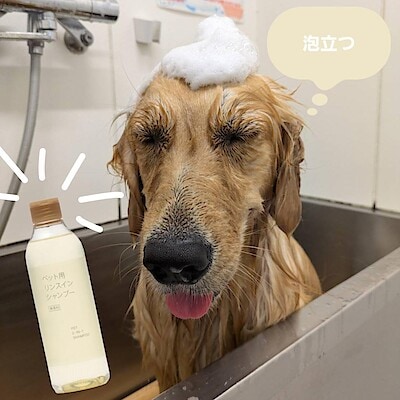 【イオンモール神戸北】使ってみました！愛犬愛猫におすすめのペット用リンスインシャンプー