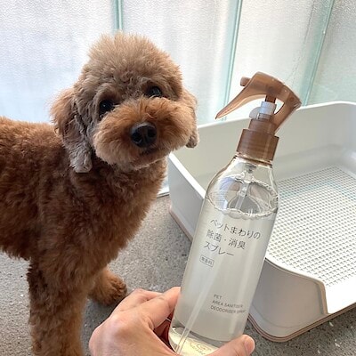 ペットまわりの除菌・消臭スプレー | 無印良品