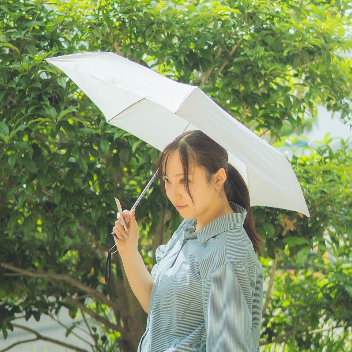 梅雨０