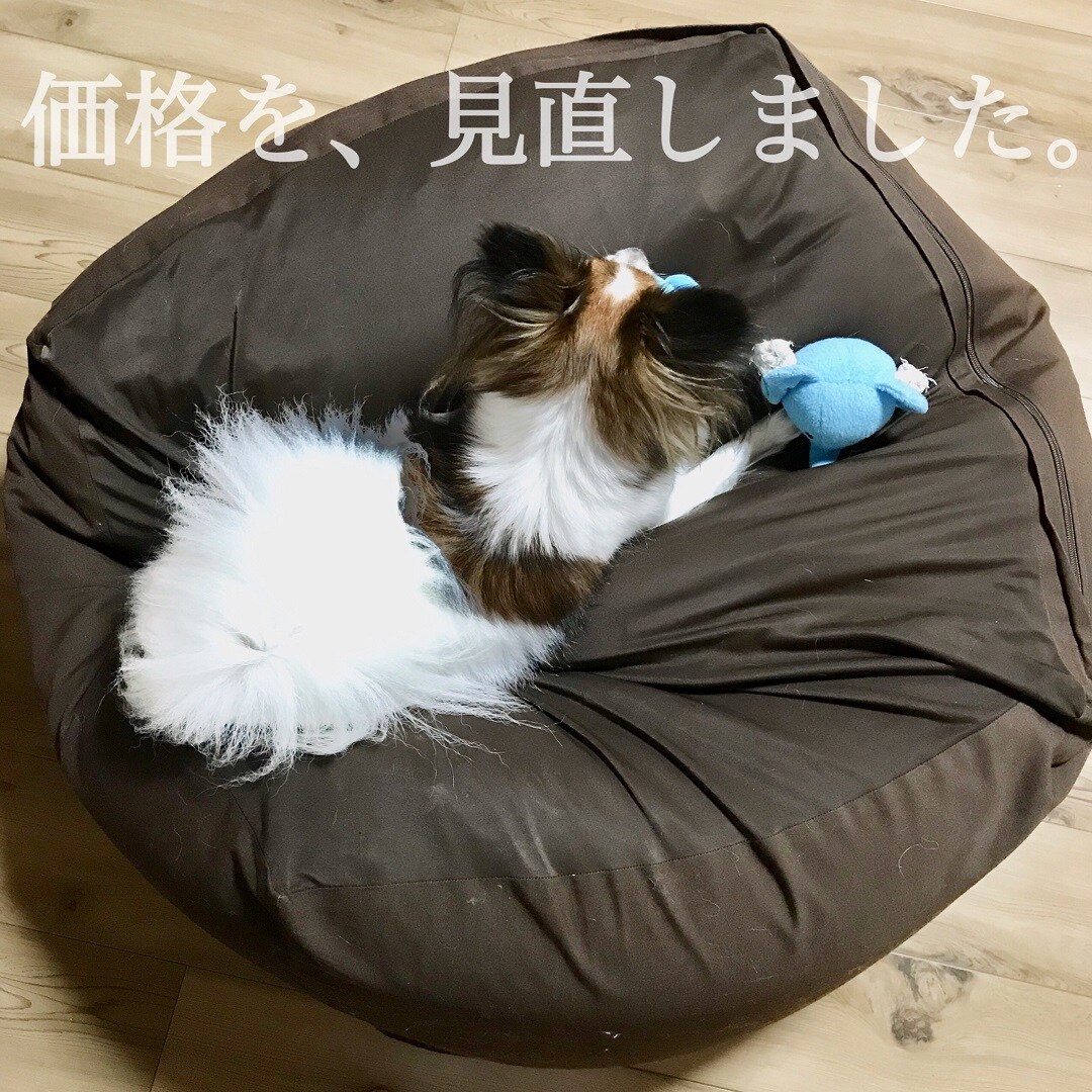 キービジュアル画像：価格を、見直しました。＃４