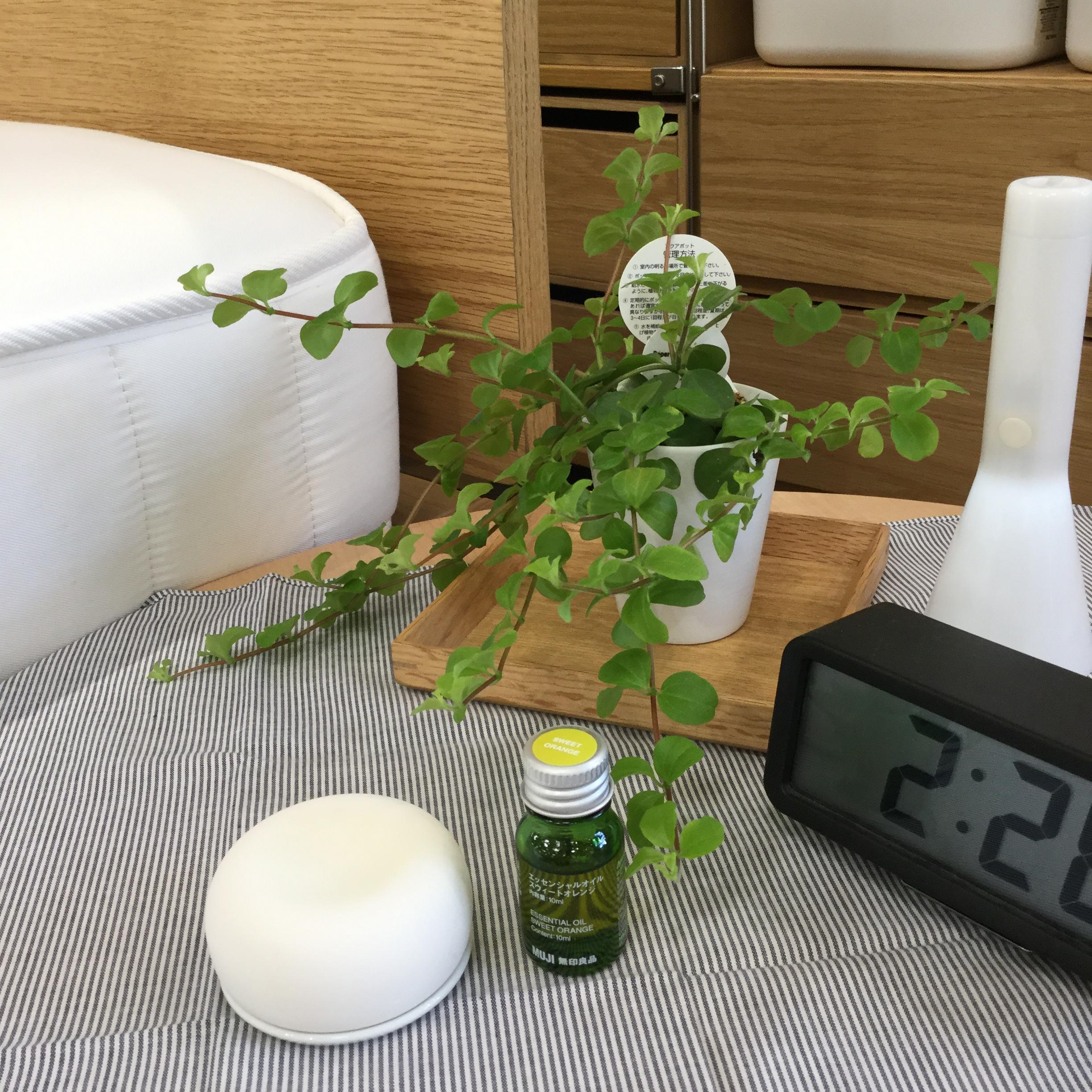 ララガーデン春日部】無印良品の香り アロマストーン｜スタッフの