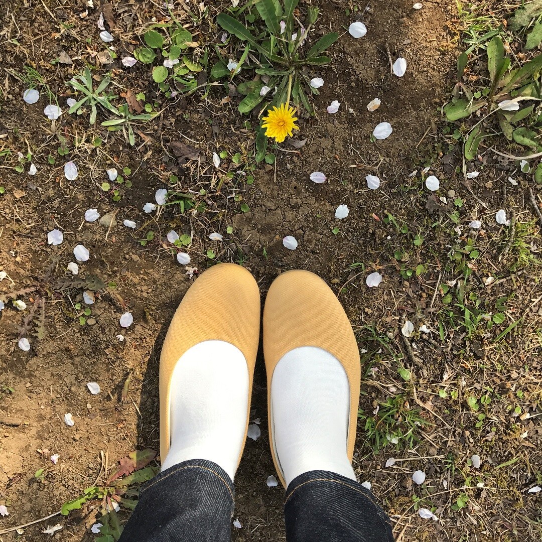 キービジュアル画像：お花見に行って来ました｜スタッフのおすすめ